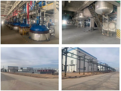 惡唑酰草胺、滅草松等原藥項目建成投產,寧夏藍田已投資超過3.2億元